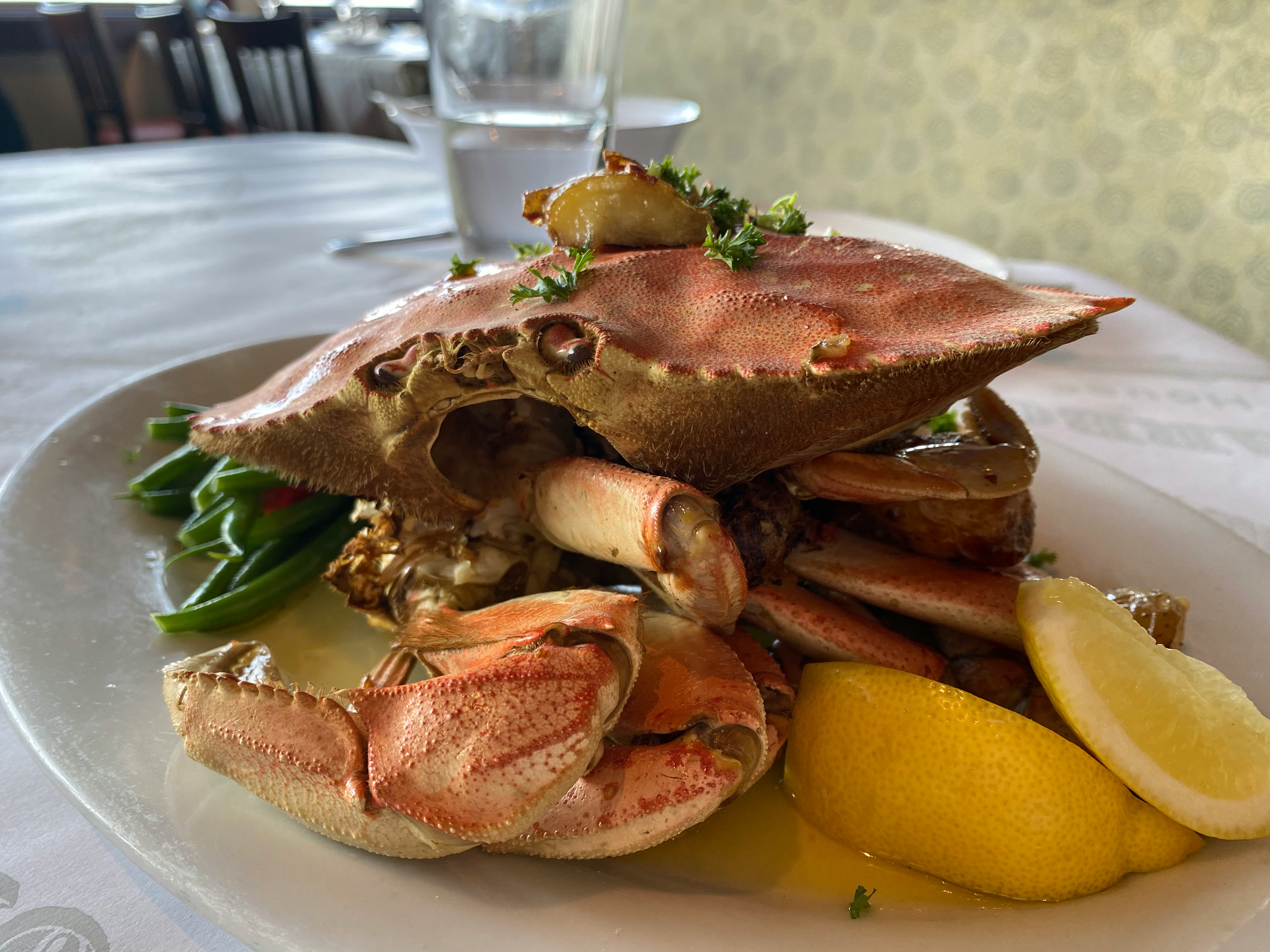 brown and white crab on white ceramic plate